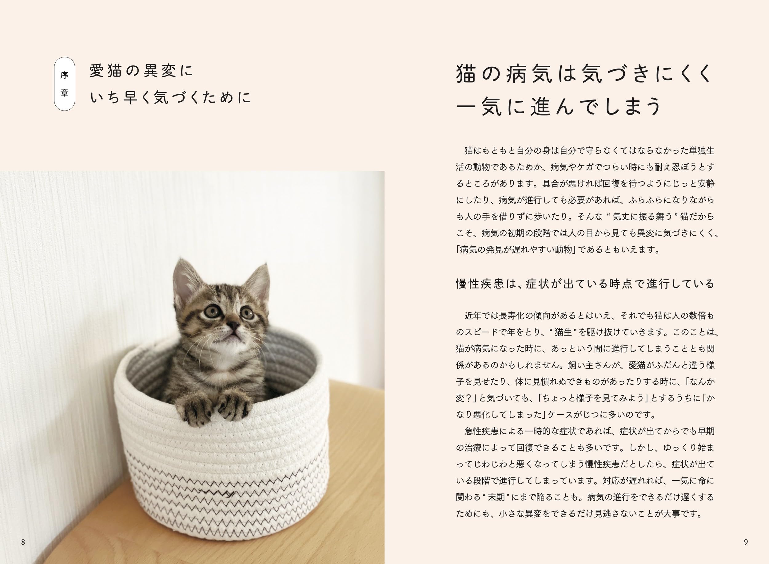 Amazon.co.jp: 服部 幸: 本、バイオグラフィー、最新アップデート
